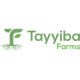 tayyiba farms